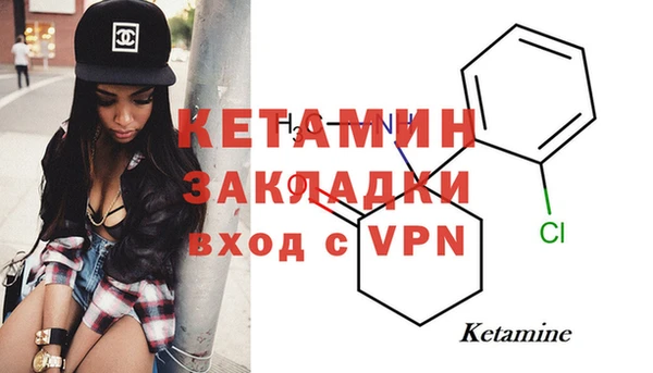 спиды Вяземский