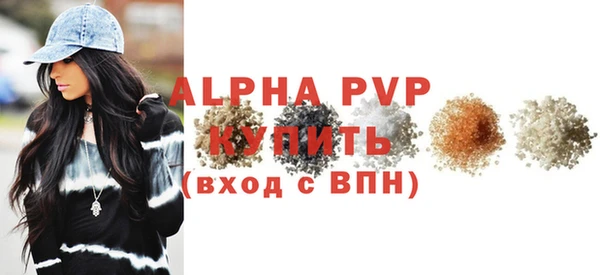 спиды Вяземский