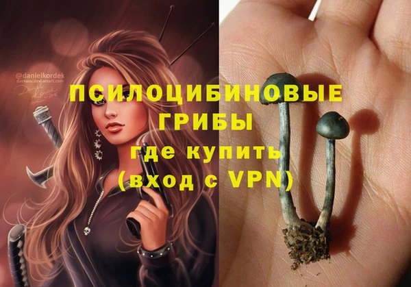 спиды Вяземский