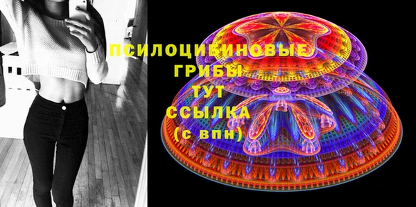 спиды Вяземский