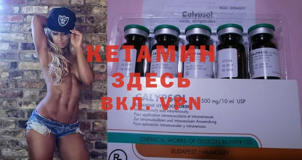 спиды Вяземский