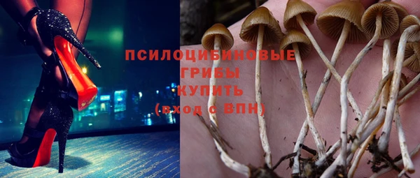 спиды Вяземский