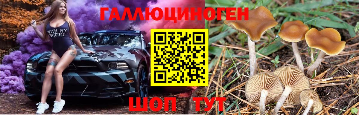 Псилоцибиновые грибы прущие грибы Мценск