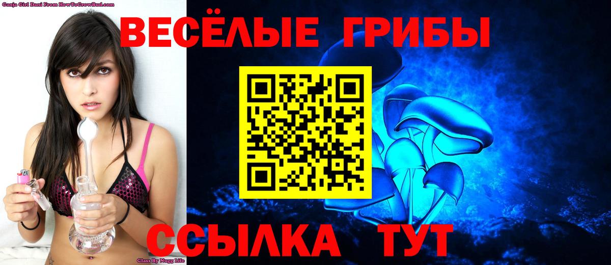 как найти   Галлюциногенные грибы ЛСД  Мценск  Псилоцибиновые грибы Magic Shrooms 