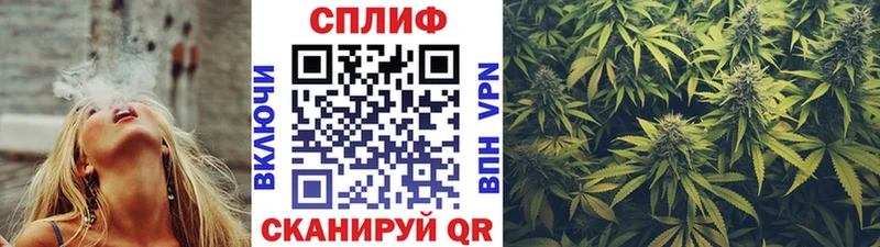 omg ССЫЛКА  Мценск  Каннабис Bruce Banner 