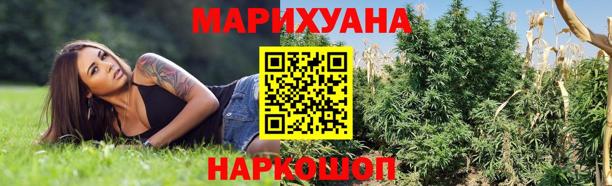 Канабис сатива  Бошки Шишки Amnesia  Мценск  Шишки марихуана конопля  Вход с VPN 